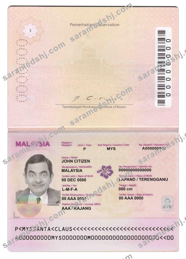 Malaysia passport (2010-2017)
